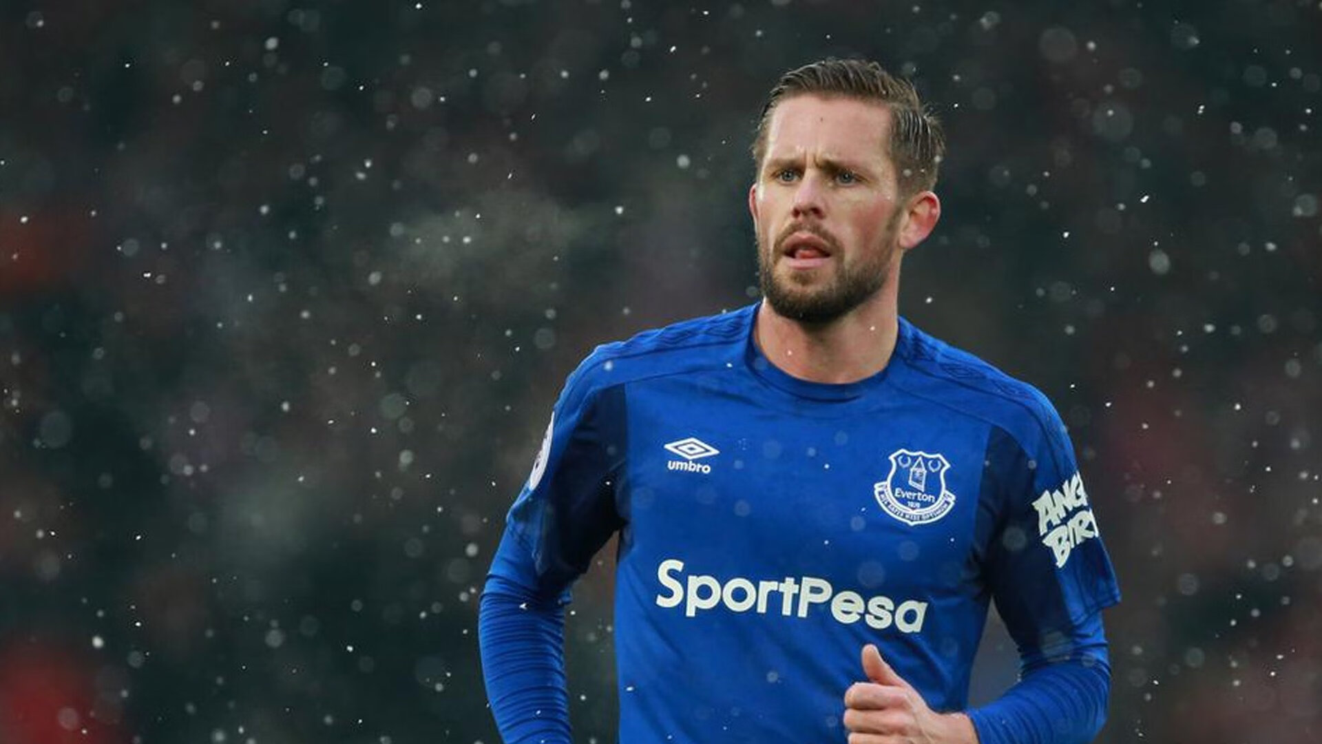 乌鸦防线表现完美,对手几乎无解,乌鸦攻击什么